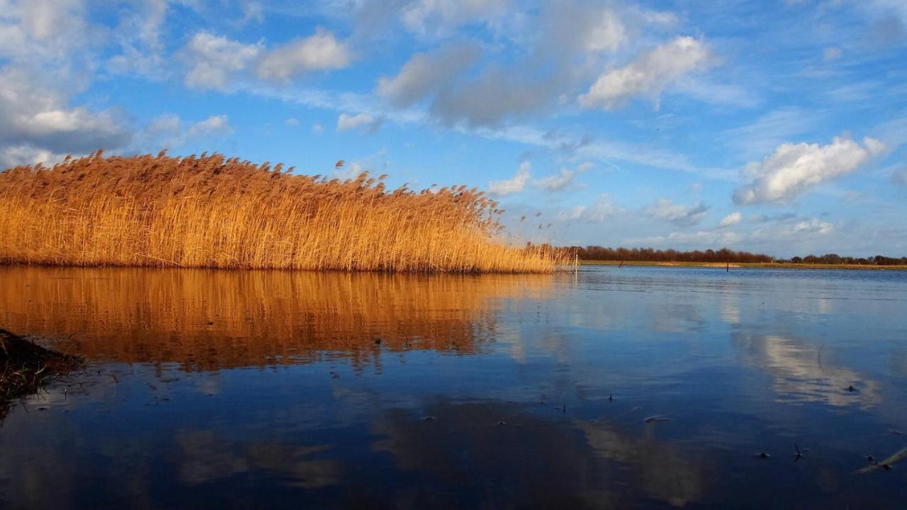 Emilias Hues, Reethaus In Der Bucht Von Wismar Циров Екстериор снимка